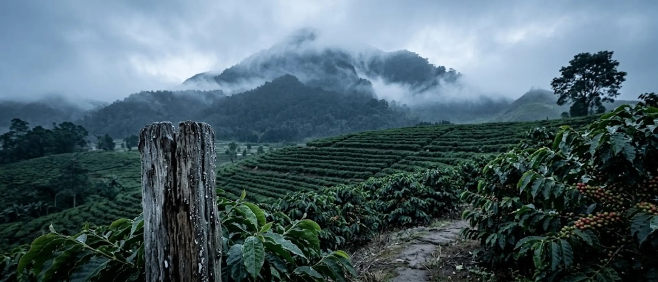 West Java Highlands
