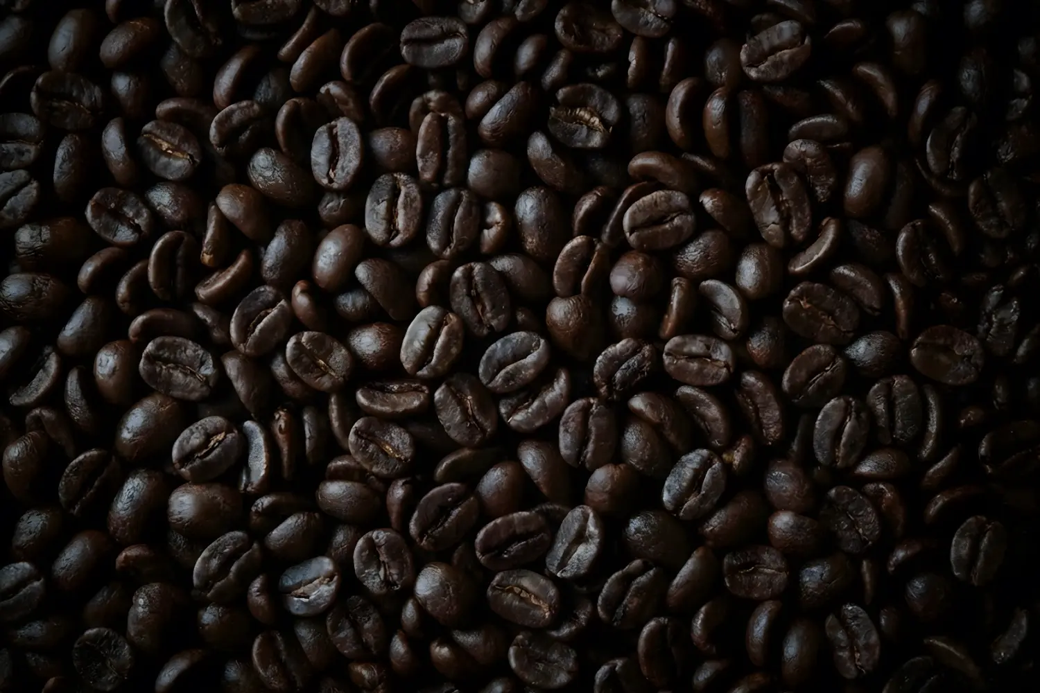 Roasted Beans